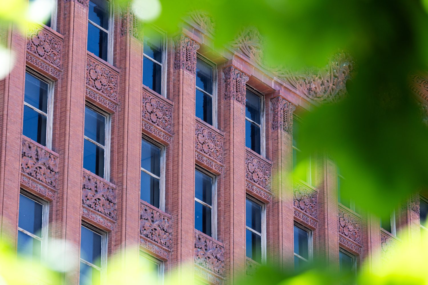 Ornate brick facade detail with carved terracotta trim, glimpsed through green leaves